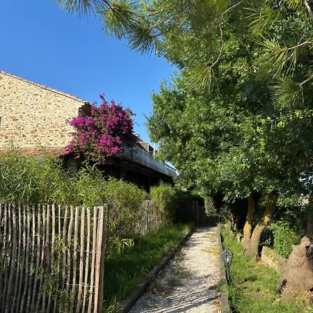 Le Nid Des Salins - & Terrasse Йер